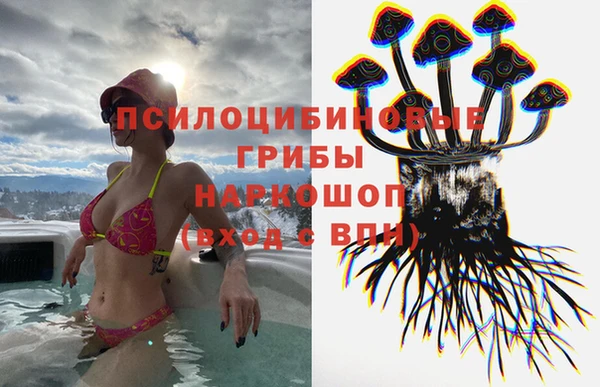 герыч Надым