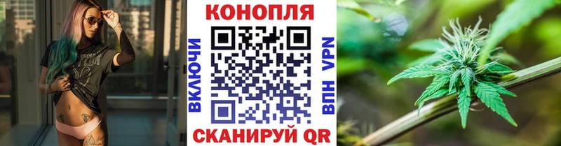 Каннабис план  Купить закладки  Дагестанские Огни 